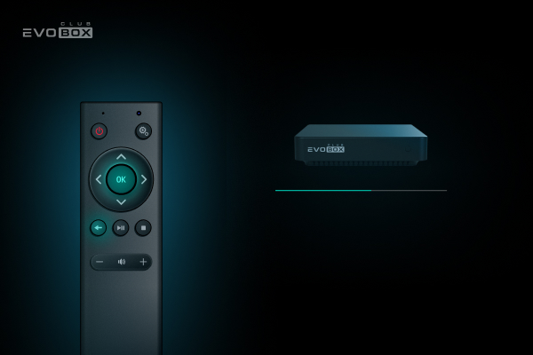 This image has an empty alt attribute; its file name is en_remote-control-not-working__evobox-club_600x400-3.jpg